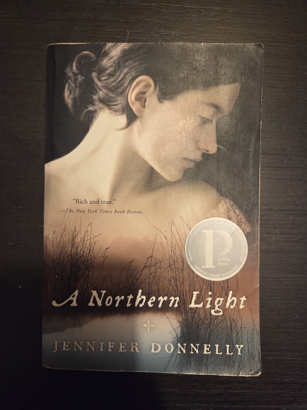 A Northern Light by Jennifer Donnelly - Paperback Book